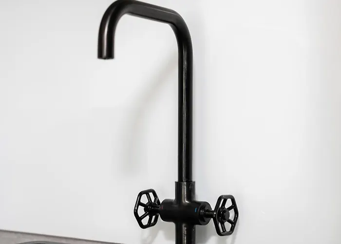 Cozy Black & White In Center With Free Garage By Renters דירה פוזנן