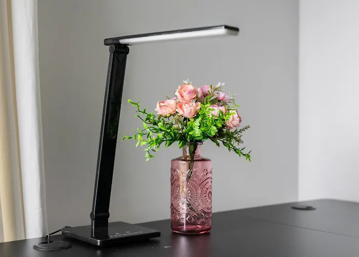 Апартаменти Cozy Black & White In Center With Free Garage By Renters