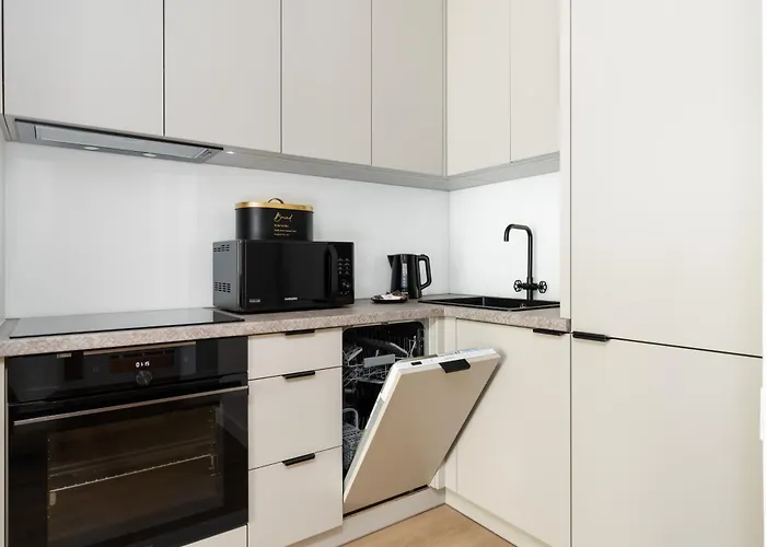 Cozy Black & White In Center With Free Garage By Renters * Poznaň