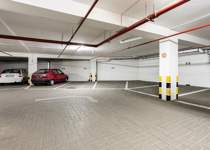 Cozy Black & White In Center With Free Garage By Renters Апартаменти Познань